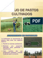 Manejo de Pasturas15