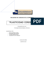 Plasticidad Cerebral 