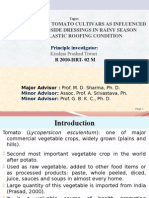 Research Findings On Rainy Season Tomato in Nepal