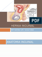 Hernia Inguinal