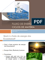 Ciências Naturais - 8º Ano - Fluxo de Energia e Ciclos de Matéria