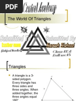 World of Triangles