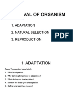 Survival of Organism: 1. Adaptation 2. Natural Selection 3. Reproduction