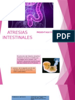 Atresia Intestinal