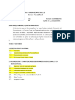 Temario de Derecho Procesal Penal