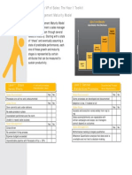 VP of Sales Maturity Model