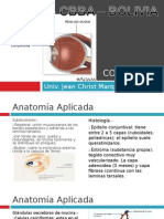 Conjuntiva