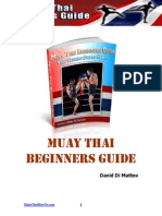 Muay Thai Beginners Guide