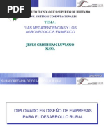 Las Megatendencias y Los Agronegocios en México (VCT)