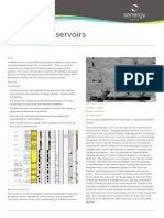 Turbidite Reservoirs by Senergy