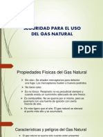 Seguridad Gas Natural