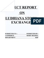 The Ludhiana Stock Exchange Limited Was Established in 1981