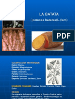 El Cultivo de La Batata