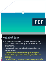 Metabolismo y Deporte