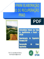 Aula RAD 3 Roteiro para Elaboração Do PRAD (Modo de Compatibilidade)