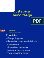 BaruCH03 Obst Haemorrhage