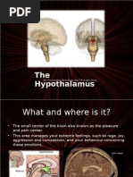 The Hypothalamus: by Alexander Specking and Michael Sova