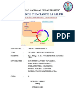 Ciclo de La Úrea y Creatinina