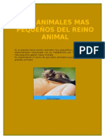 Los Animales Mas Pequeños Del Reino Animales