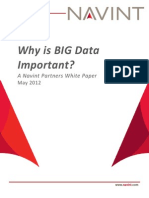 Why Is BIG Data Important?: A Navint Partners White Paper