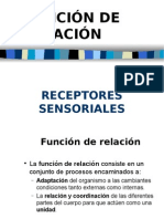 PRESENTACION RECEPTORES Sensoriales