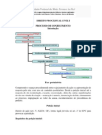 Processo de Conhecimento