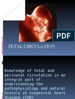 Fetal Circulation