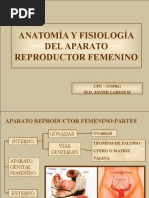 Anatomía y Fisiología Del Aparato Reproductor Femenino