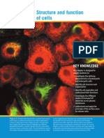 CHP 2 Structure and Function of Cells