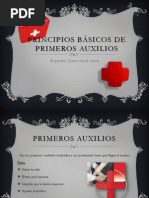 Principios Básicos de Primeros Auxilios PDF