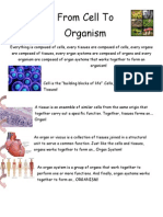 From Cell To Organism Part 1 - The Cell, Types of Cell and The Organelles