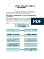 Introduccion A La Jurisdiccion Voluntaria