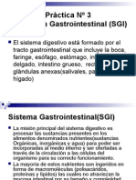 Sistema Gastrointestinal (SGI)