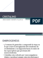 Presentación Cristalino