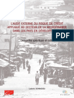 Guide Daudit Externe Du Risque de Credit en Microfinance PDF