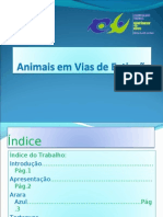 Animais em Extincao - Arara Azul e Tartaruga Marinha