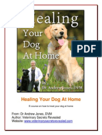 Healing Your Dog