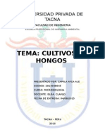 Cultivo de Hongos