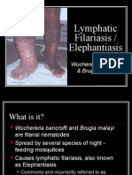 Lymphatic Filariasis / Elephantiasis: Wuchereria Bancrofti & Brugia Malayi