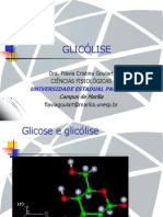 Glicolise PDF