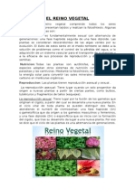 El Reino Vegetal