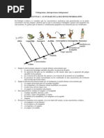 Cladogramas Interpretemos Cladogramas