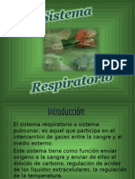 Sistema Respiratorio en Animales Domesticos