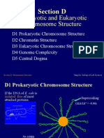 Prokaryotic and Eukaryotic Chromosome Structure: Section D