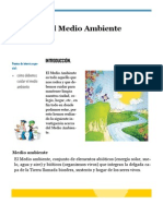 Boletìn Medio Ambiente