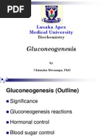 Gluconeogenesis 2015