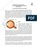 Anatomy and Structure of Human Sense Organs