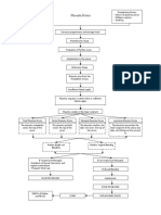 Placenta Previa Pathophysiology