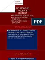 Lab. Patologia - Inflamación Crónica y Aguda