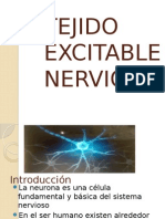 Tejido Excitable Nervio Equipo